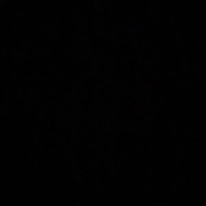 Meet your Posher, Allie